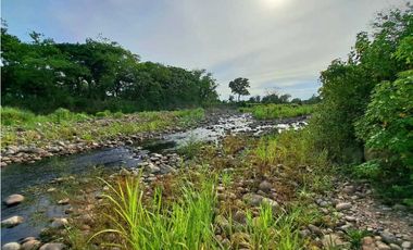 VENTA DE FINCA EN COCHEA, CON TERRENO PLANO
