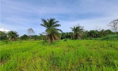VENTA DE FINCA EN COCHEA, CON TERRENO PLANO