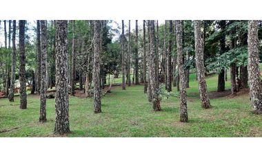 VENTA CASA EN ALTOS DEL MARIA 1482M2