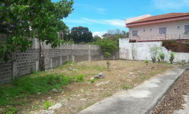 174 SQM Subdivision Lot for Sale in Villas Magallanes, Basak, Lapu-Lapu Cebu