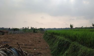 Jual Tanah Pertanian 7 Ha Di Warungkondang Kota Cianjur