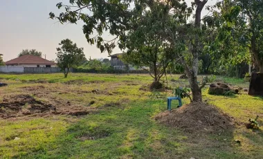 Land for sale in San Sai Noi, Chiang Mai