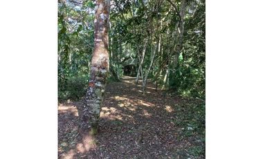 VENTA DE CASA + TERRENO BUEN CLIMA