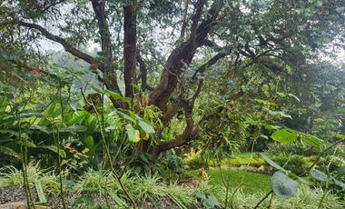 casa en venta en dapa. Cod V17459