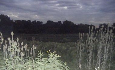 Lotes de 20 x 35, aprox. 750 m2