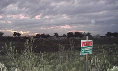 Lotes de 20 x 35, aprox. 750 m2
