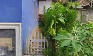 Jual Rumah kampung pedesaan Sindangsari Bojong Purwakarta Jawa Barat