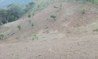 VENTA de LOTES en COPACABANA