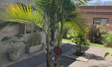 ALQUILER - CASA SANTA GUADALUPE - PILAR DEL ESTE