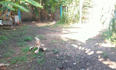 Casa en Venta en La CAJA en Comala