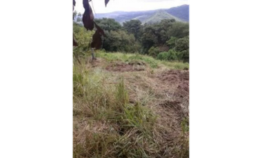 VENTA TERRENO CHAME