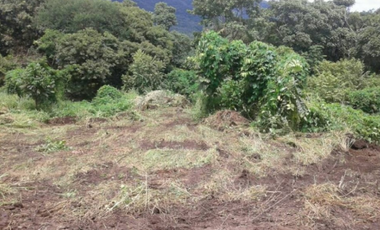 VENTA TERRENO CHAME