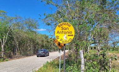 Rancho en Venta con cenotes en excelente zona ganadera del Estado de Yucatán