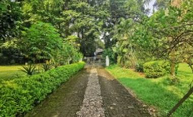 Rumah Jl Ahmad Yani, Sempur, Bogor Tengah Luas 5.790m2