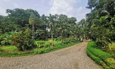 Rumah Jl Ahmad Yani, Sempur, Bogor Tengah Luas 5.790m2