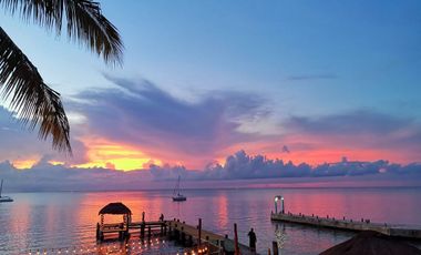 Condominio con alberca, cancha de pádel, bar, asador, jacuzzi, en venta Cozumel