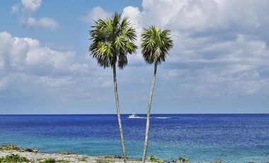 Condominio con alberca, cancha de pádel, bar, asador, jacuzzi, en venta Cozumel