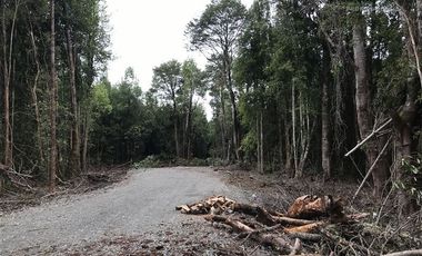Parcela en Venta en Parcelas en Sector Piedra Azul Alto