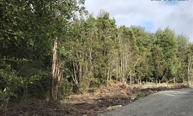 Parcela en Venta en Parcelas en Sector Piedra Azul Alto