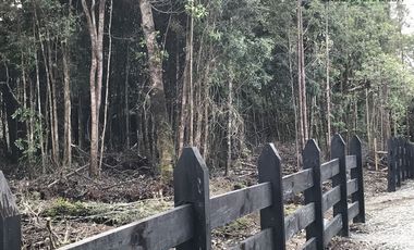 Parcela en Venta en Parcelas en Sector Piedra Azul Alto