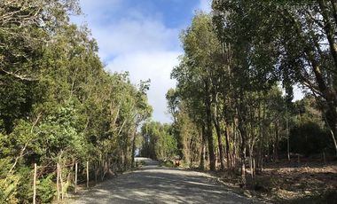 Parcela en Venta en Parcelas en Sector Piedra Azul Alto