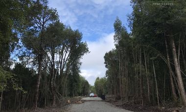 Parcela en Venta en Parcelas en Sector Piedra Azul Alto