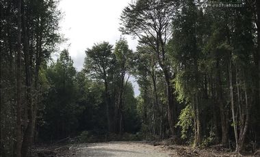 Parcela en Venta en Parcelas en Sector Piedra Azul Alto