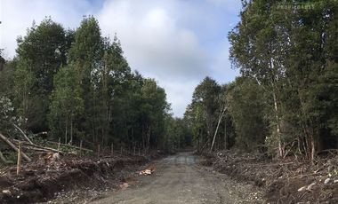 Parcela en Venta en Parcelas en Sector Piedra Azul Alto