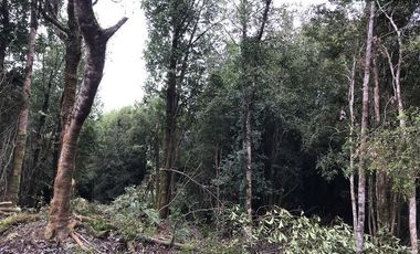 Parcela en Venta en Parcelas en Sector Piedra Azul Alto