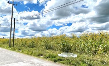 VENTA TERRENO INDUSTRIAL SANTA MARIA MOYOTZINGO, SAN MARTIN TEXMELUCAN, PUEBLA