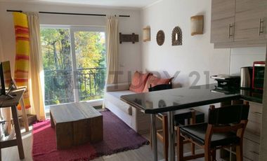 Hermoso departamento 1D 1B  Cond  Pucón Andino