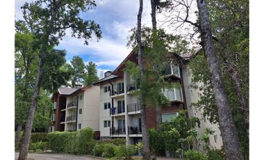 Hermoso departamento 1D 1B  Cond  Pucón Andino