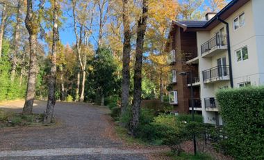 Hermoso departamento 1D 1B  Cond  Pucón Andino