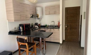 Hermoso departamento 1D 1B  Cond  Pucón Andino