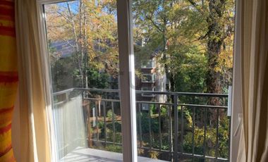 Hermoso departamento 1D 1B  Cond  Pucón Andino