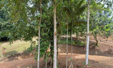 VENDO LINDA QUINTA DE OPORTUNIDAD en Urb. Privada SILANCHE 1500 m² XG_Aqt