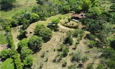 VENTA DE FINCA EN VENECIA SUROESTE DE ANTIOQUIA