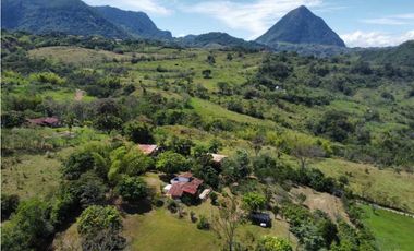 VENTA DE FINCA EN VENECIA SUROESTE DE ANTIOQUIA