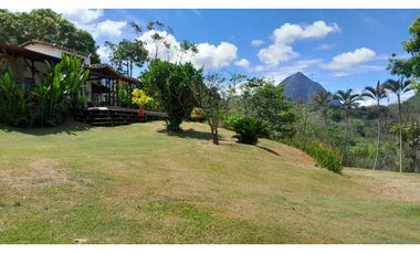 VENTA DE FINCA EN VENECIA SUROESTE DE ANTIOQUIA