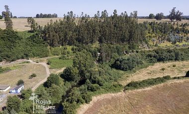 FUNDO ALEMAN, LA UNION