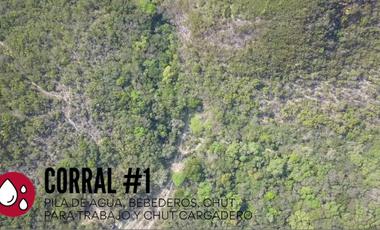 RANCHO EN VENTA ZONA DE LINARES