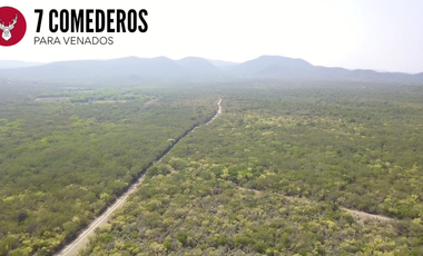 RANCHO EN VENTA ZONA DE LINARES