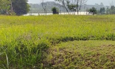 Tanah Dijual di Kota Baru Parahyangan Bandung