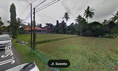 Land for rent near central Ubud Bali