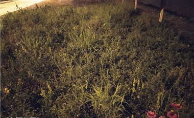 Se vende lote esquinero en barrio Vallejo, Montería