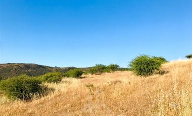 Parcela en Venta en Camino Altos de Buena vista