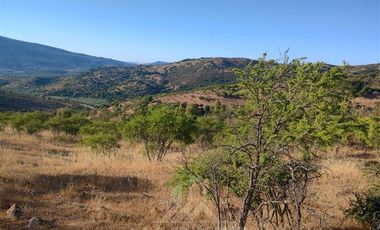 Parcela en Venta en Camino Altos de Buena vista