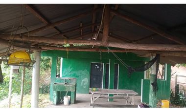 VENTA DE TERRENO DE 60 HECTARIAS EN VERAGUAS
