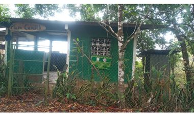 VENTA DE TERRENO DE 60 HECTARIAS EN VERAGUAS