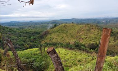 VENTA DE TERRENO DE 60 HECTARIAS EN VERAGUAS